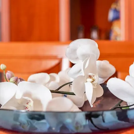 Luz De Tavira/pool/bbq/wifi Landhuis Luz de Tavira